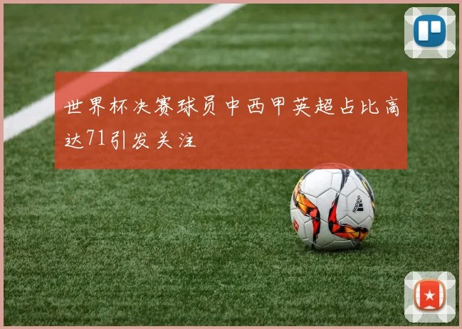 世界杯决赛球员中西甲英超占比高达71引发关注